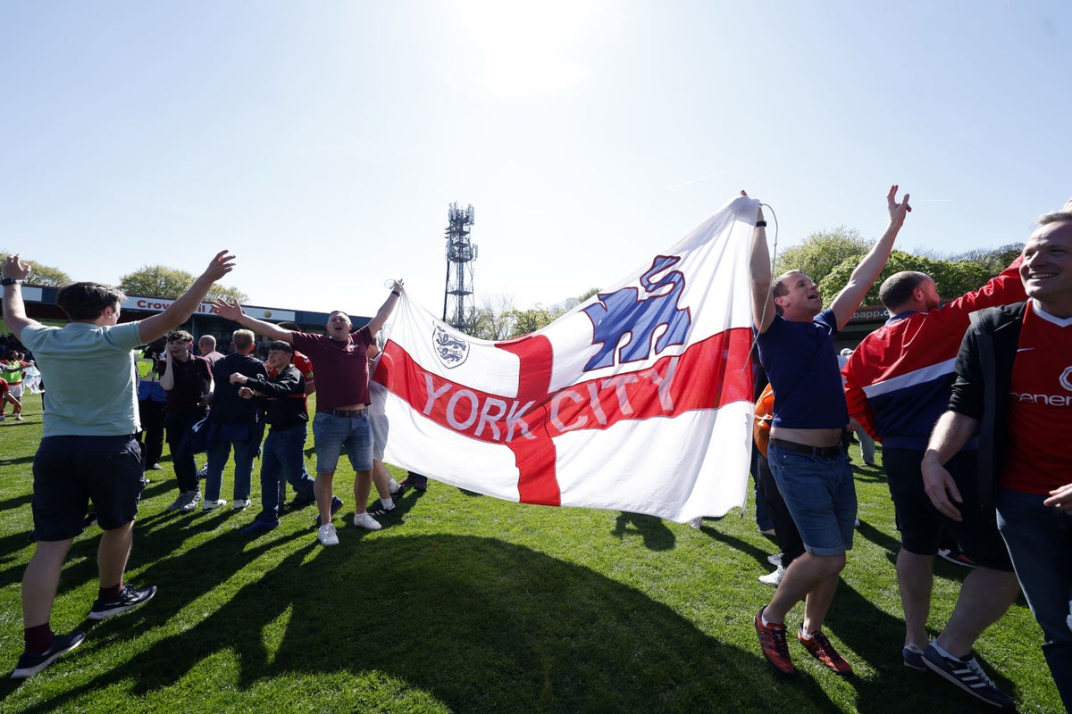 Police investigate video that seems to show York player punch a fan during match
