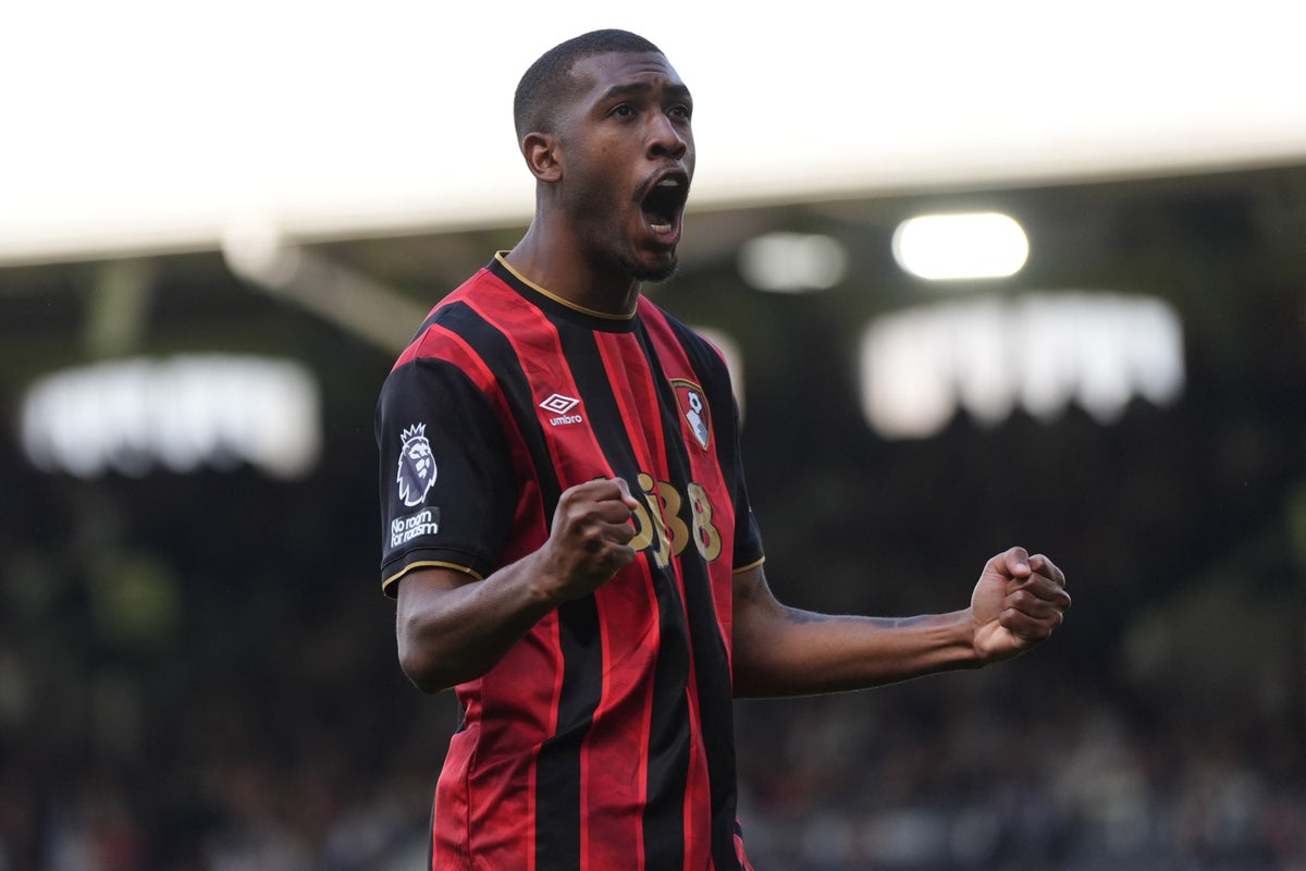 Bournemouth move step nearer European football after battling win over Fulham