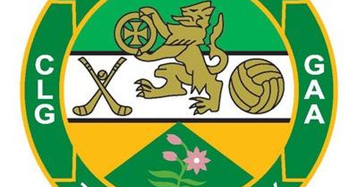 Offaly captain facing a spell on the sidelines