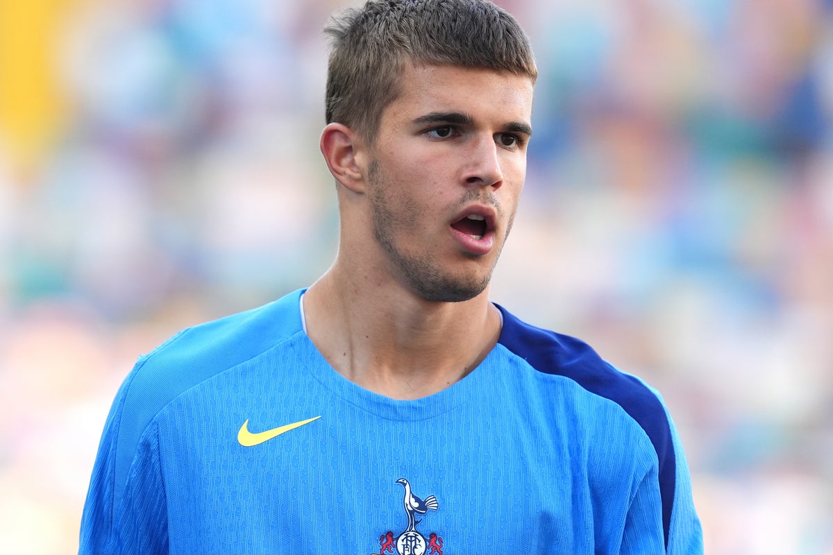 Brighton launch £30 million bid for highly-rated Tottenham teenager
