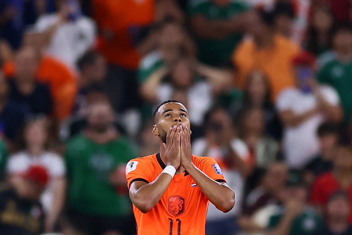 Cody Gakpo in tears after netting crucial World Cup goal days after personal tragedy