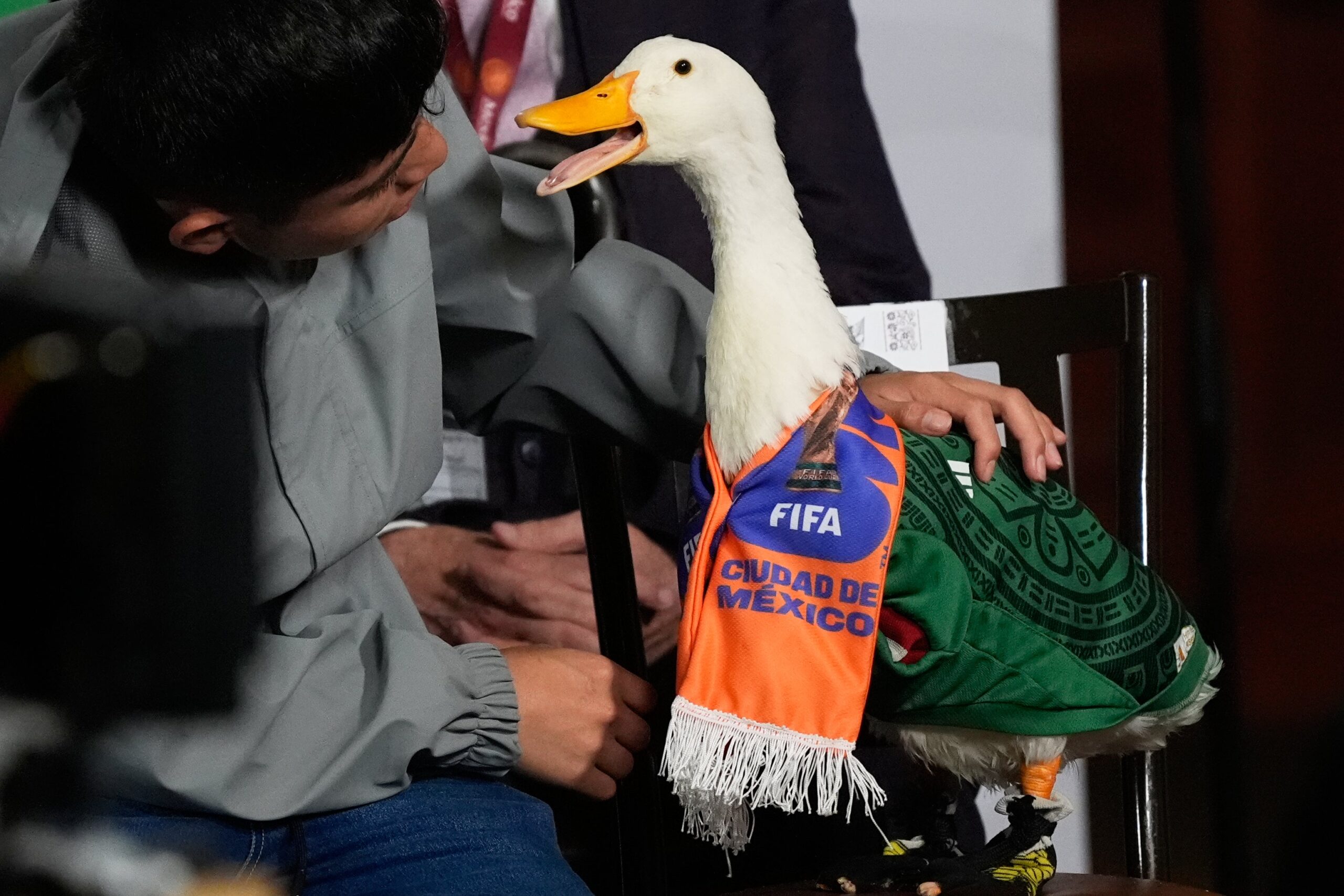Viral sensation Merlin the duck denied entry to stadium ahead of Mexico game
