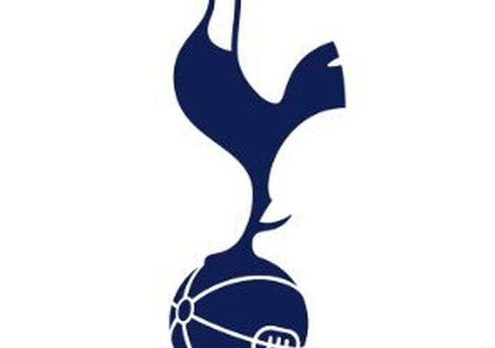 Spurs sign Dubravka