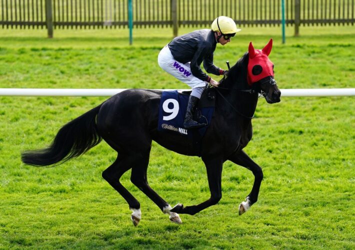 Friday’s racing tips: Best bets and odds for Ascot and York