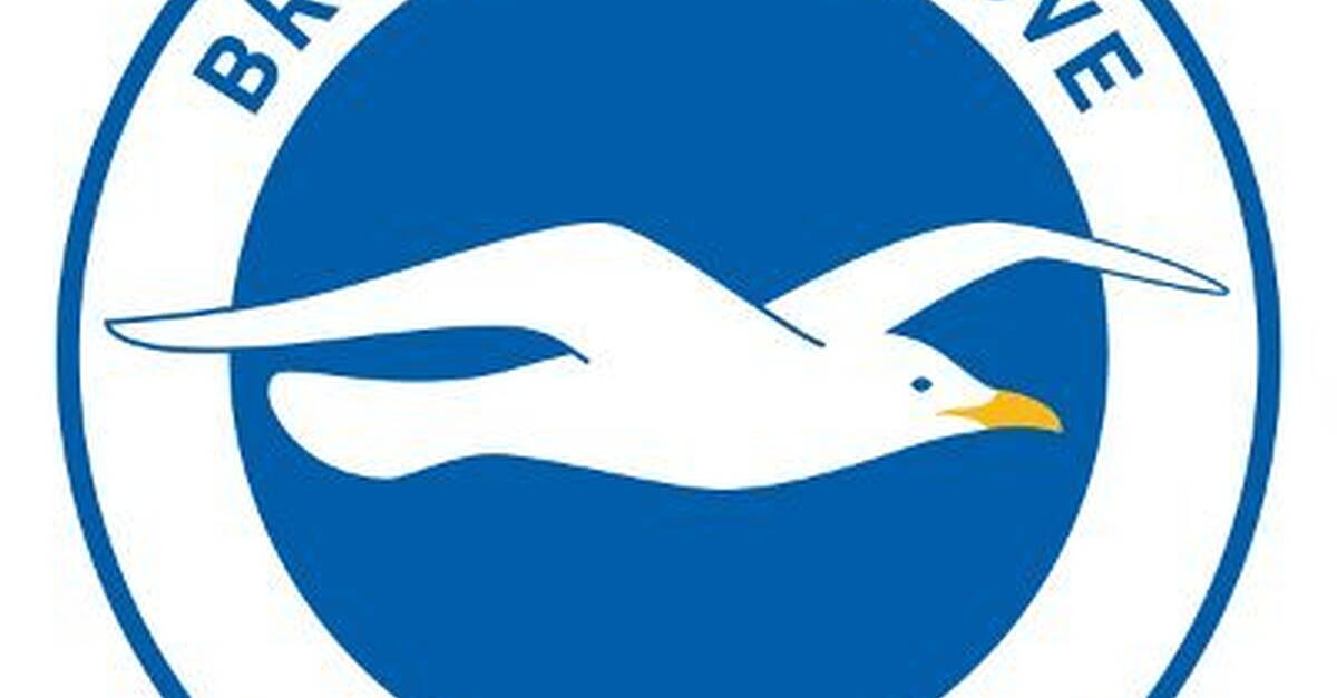 Brighton smash their transfer record