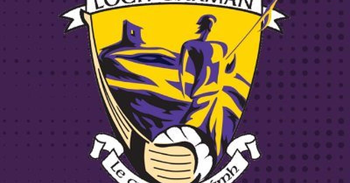 McGrath named Wexford hurling manager