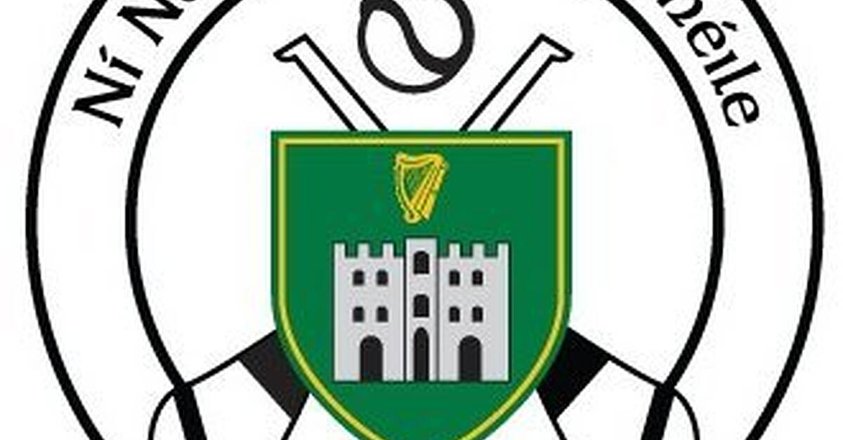 Tralee Parnells Hurling and Camogie Club weekly notes