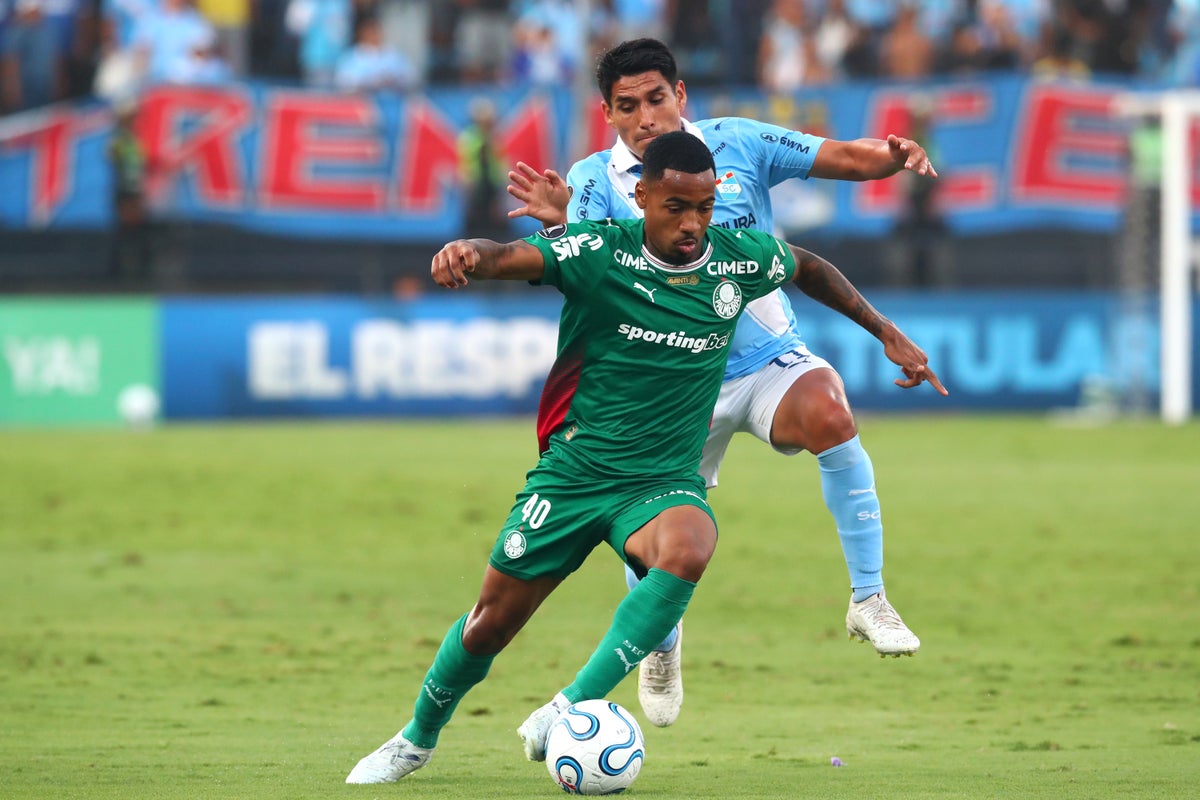 Manchester City agree deal for Palmeiras winger as Savinho replacement