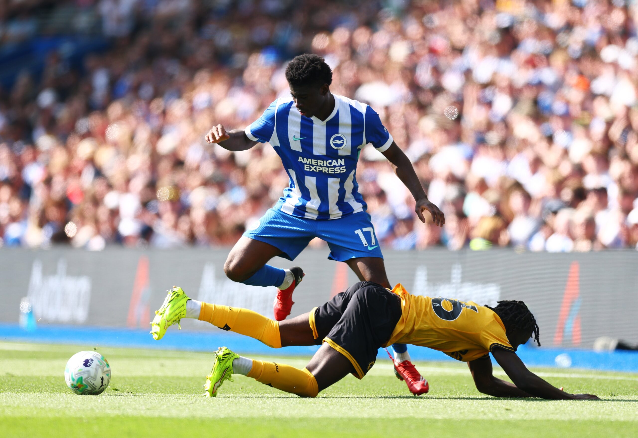 Baleba in action against Wolves last season