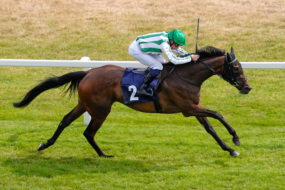 Saturday racing tips: Best bets and odds for Newbury and Ripon