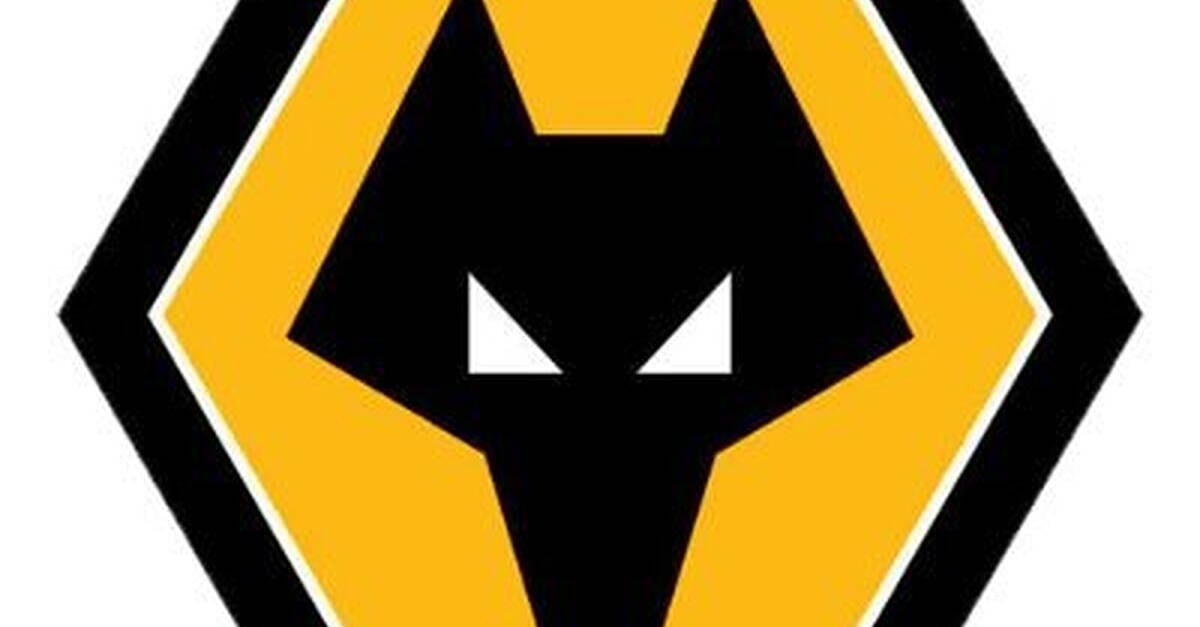 Wolves announce signing of Ireland international