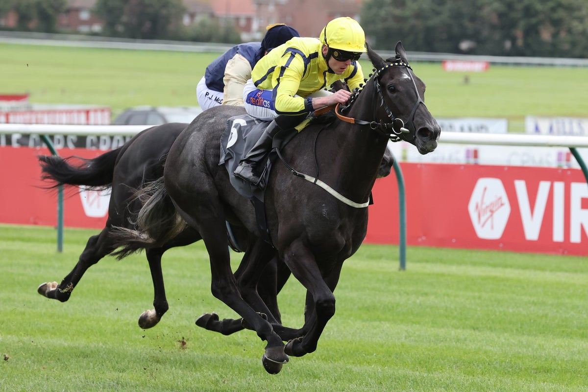 Friday’s Racing tips: Best bets and odds from Ayr