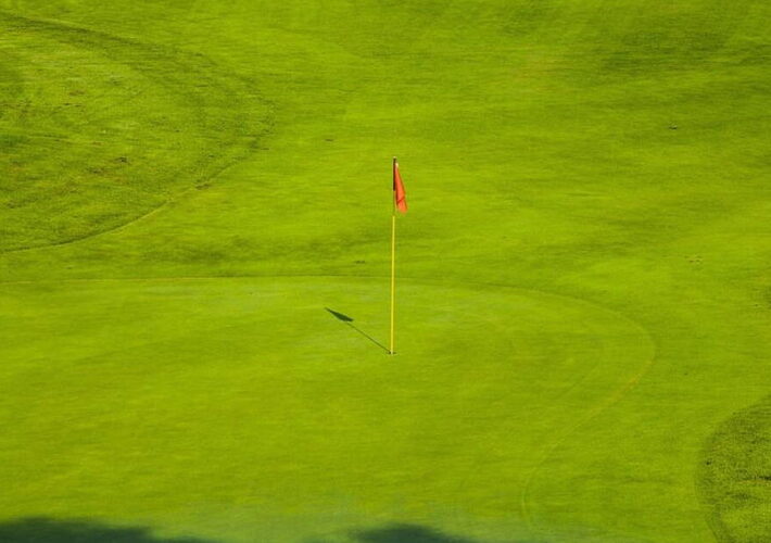 McIlroy misses out